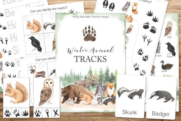 Download Winter Animal Tracks Unit Study - Winter Collection