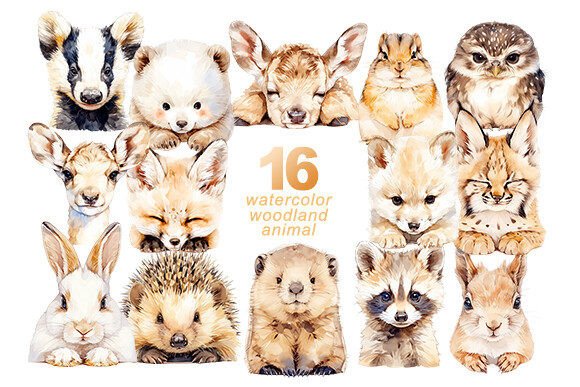 Download Woodland Animal Watercolor Bundle - Animal watercolor Collection